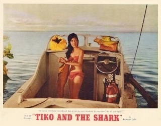 TIKO & THE SHARK